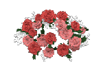 GreetingSpring.com