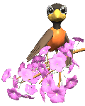 GreetingSpring.com