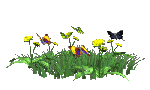 GreetingSpring.com