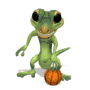 Gecko Basketball