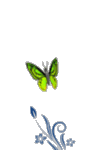 GreetingSpring.com