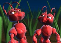 4th of July Firecracker Ants Ecard