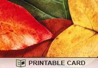 Seasons Leaf Closeup Ecard