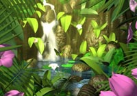 Thank You Cards Jungle Waterfall Ecard