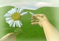 Love Love Daisy Ecard