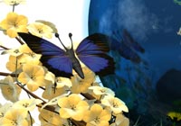 Celebrations Earth Day Butterfly Ecard