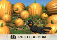 Photo Albums Pumpkin Patch Ecard
