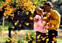 Seasons Autumn Beauty Ecard