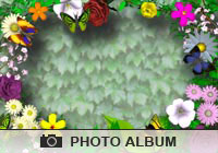 Seasons Butterfly Garden Ecard