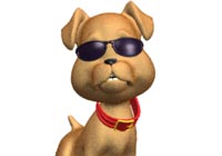 New Year Doggone Cool New Year Ecard
