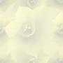 Nature Daffodil Delight Tiled Background