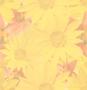 Nature Lily and Sunflowers Tiled Background