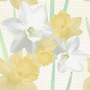 Nature White and Yellow Daffodils Tiled Background