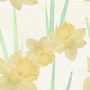 Nature Yellow Daffodils Tiled Background