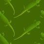 Animals and People Green Geckos Tiled Background