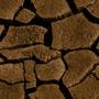 Nature Dirt Tiled Background