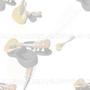 Miscellaneous Acoustic Guitars Tiled Background